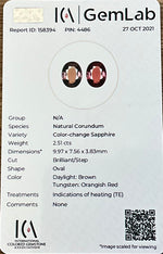MULTI SAPPHIRE OVAL